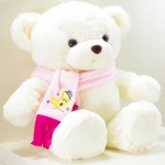 Cute Teddy Bear